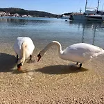 Veronika Villa Rogoznica (Sibenik-Knin)