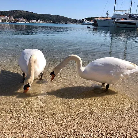 Veronika Villa Rogoznica (Sibenik-Knin)