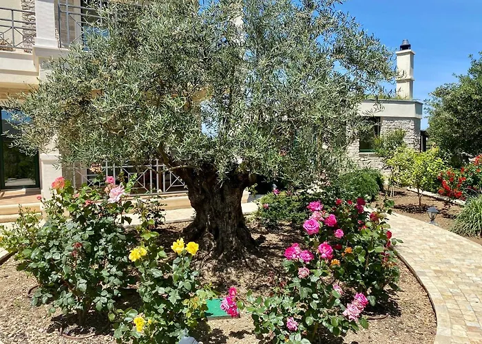 Vila Veronika Rogoznica (Sibenik-Knin)