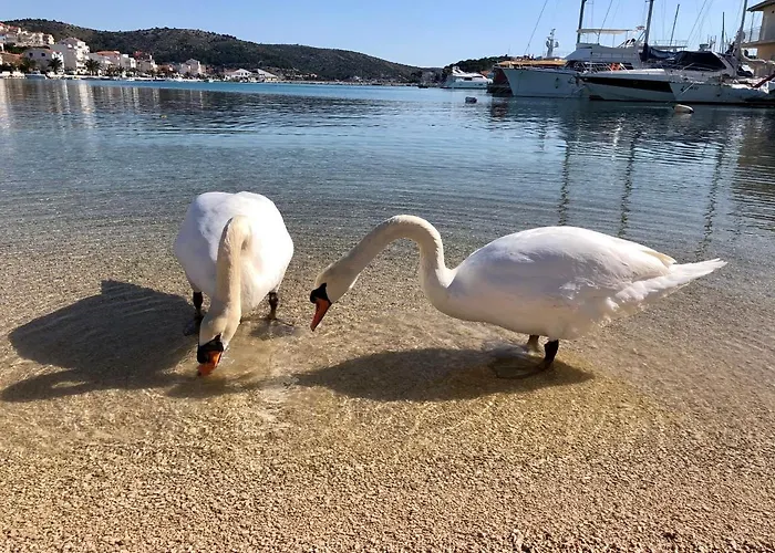 Veronika Vila Rogoznica (Sibenik-Knin)